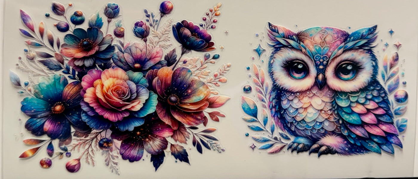 Owl
