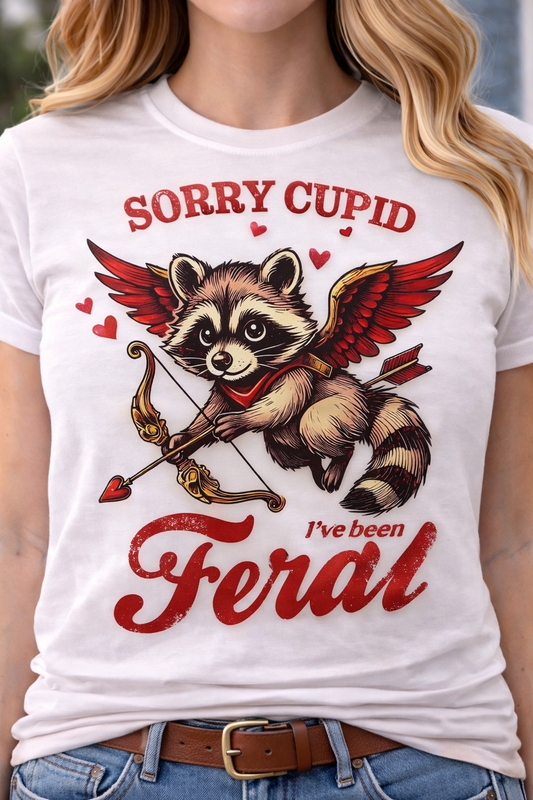 Sorry Cupid